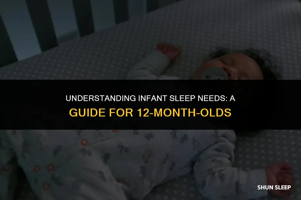 how many hours 12months old nedd sleep
