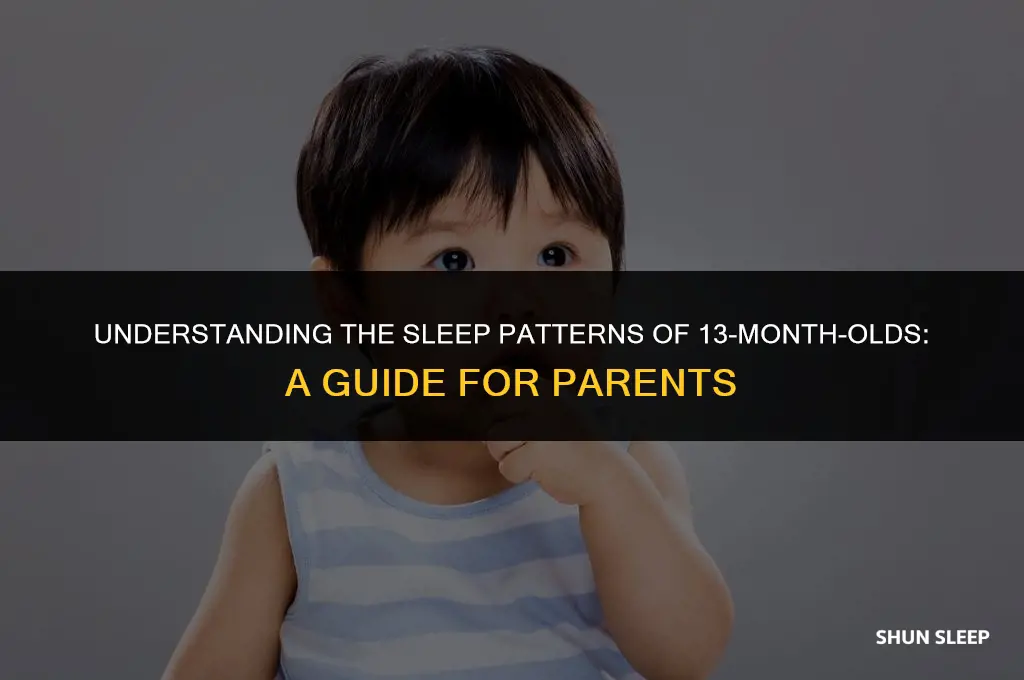 how many hours 13 month old sleep