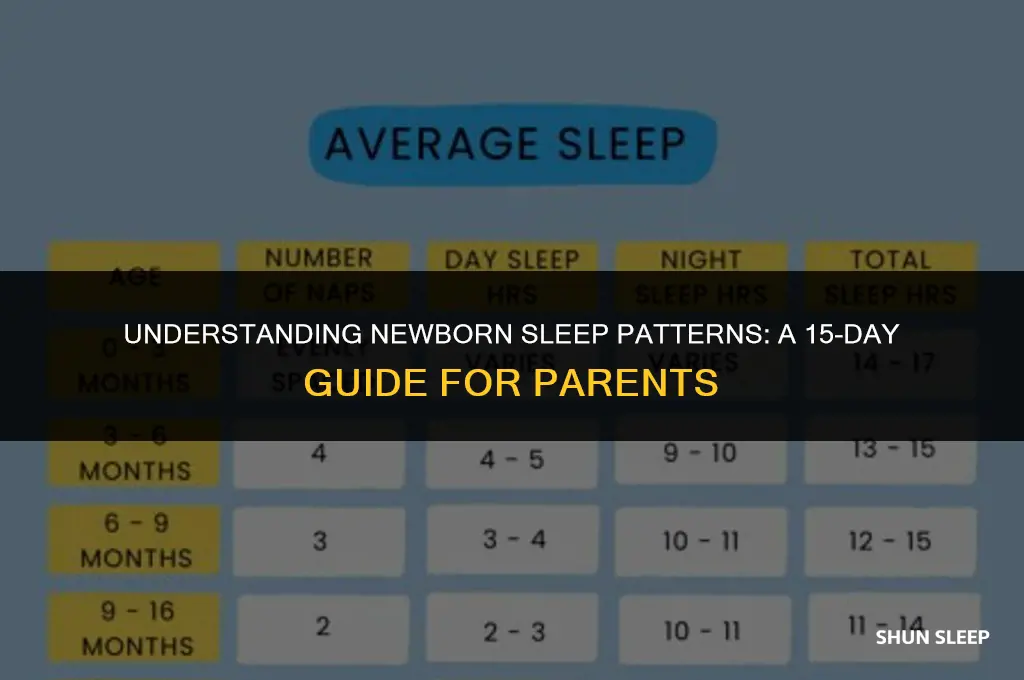 how many hours 15 days baby sleep