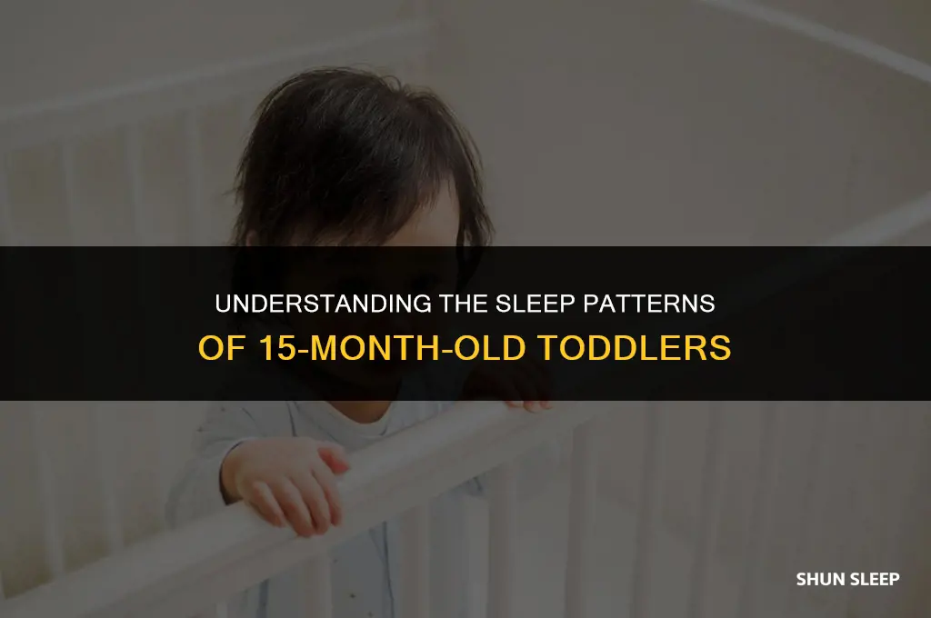 how many hours 15 month old sleep