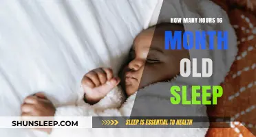 Understanding Toddler Sleep Patterns: A Guide for Parents