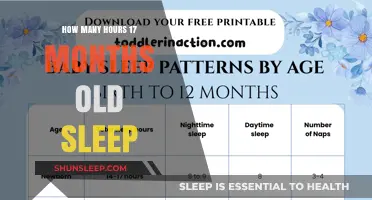 Understanding the Sleep Patterns of 17-Month-Old Toddlers