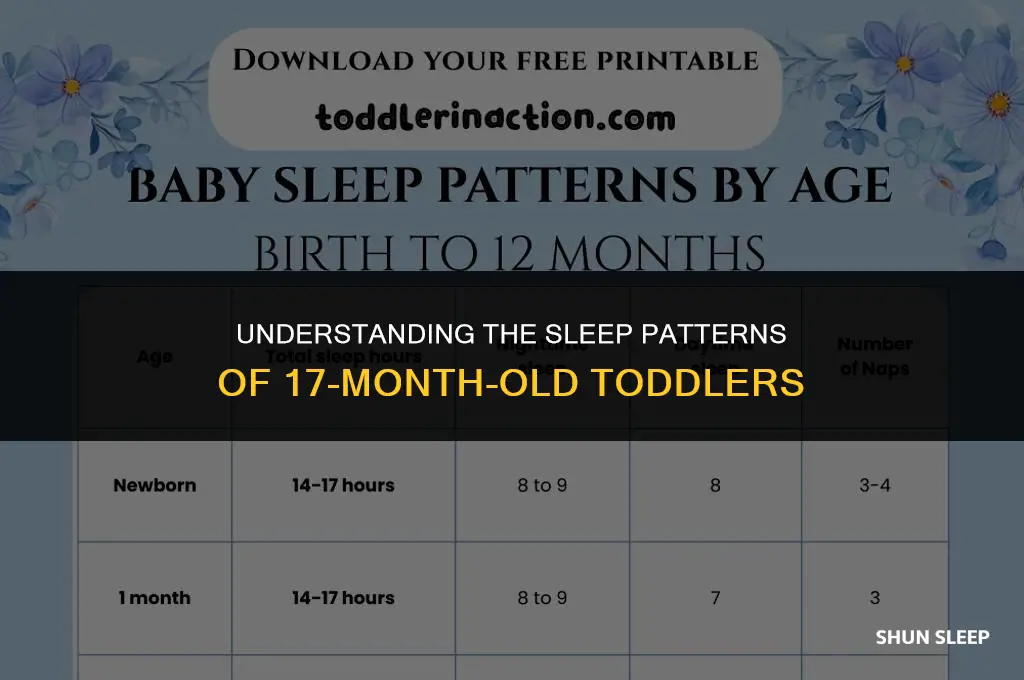 how many hours 17 months old sleep