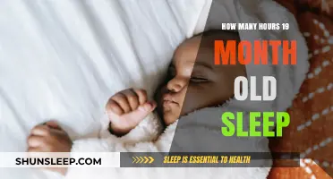Understanding Toddler Sleep Patterns: A Guide for Parents