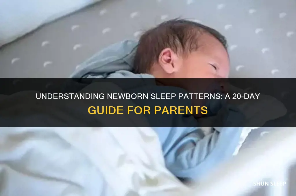 how many hours 20 days baby sleep