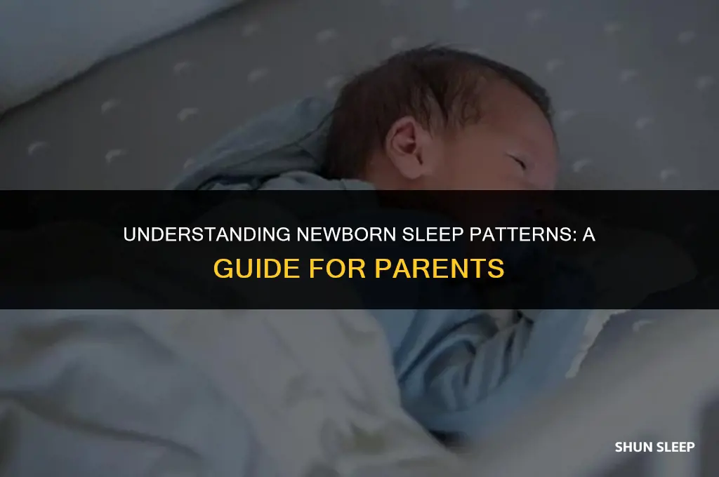 how many hours 4 week old sleep