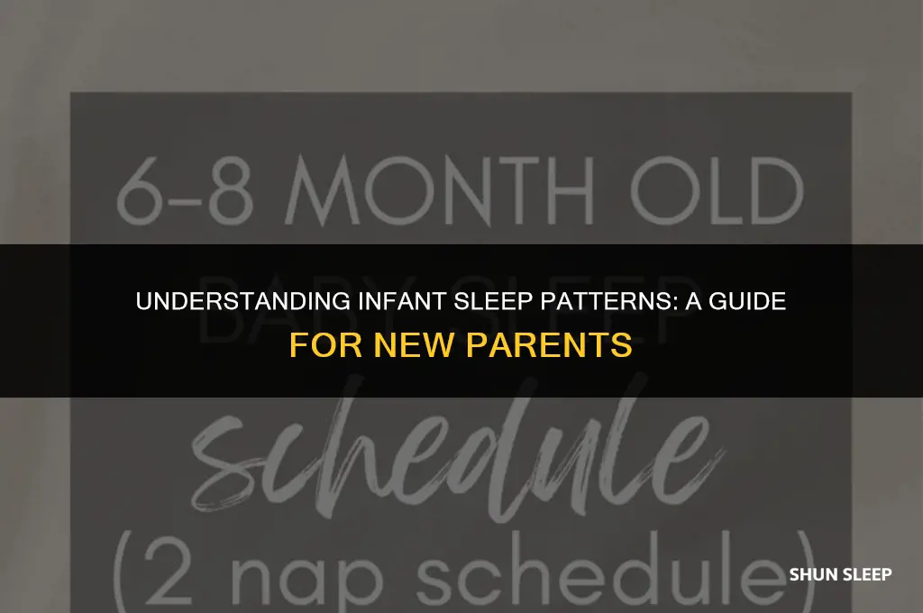 how many hours 6 month old sleep at night