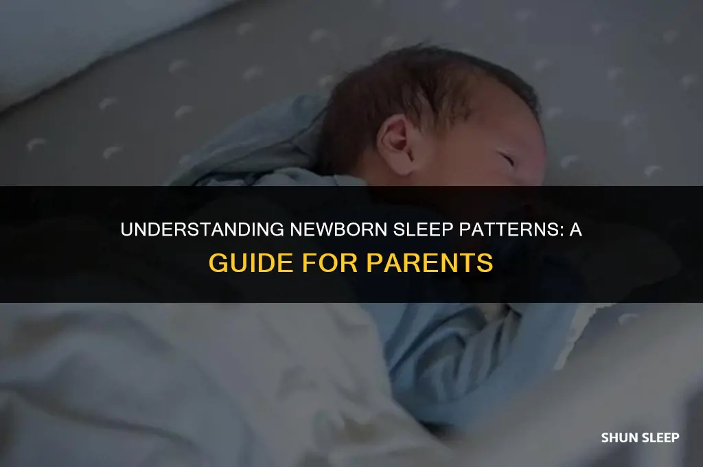 how many hours 8 week old baby sleep