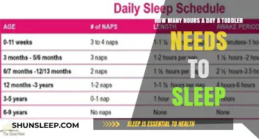 Toddler Sleep Essentials: Unraveling the Mystery of Daily Rest