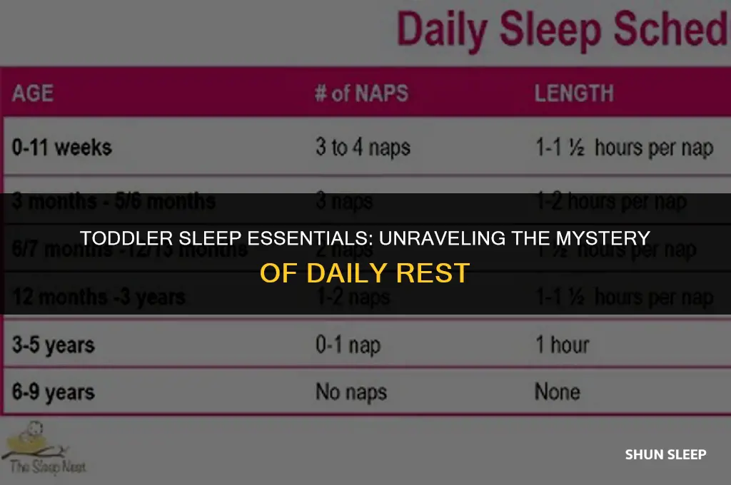 how many hours a day a toddler needs to sleep