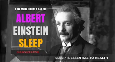 Unraveling the Genius: Einstein's Sleep Habits and Productivity Secrets
