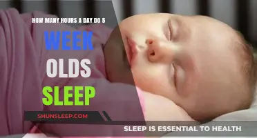 Understanding Infant Sleep Patterns: A Guide for New Parents