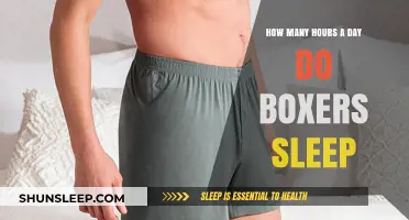 Resting Champs: Unveiling the Sleep Secrets of Professional Boxers