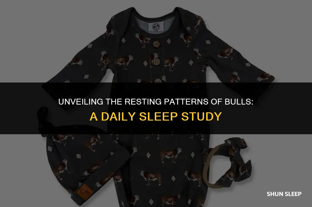 how many hours a day do bulls sleep