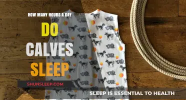 Understanding Calf Sleep Patterns: A Guide for New Parents