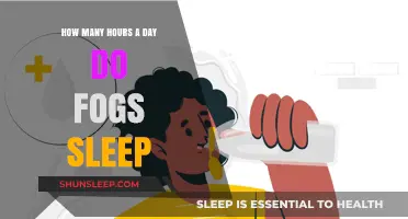 Unveiling the Mysteries of Fog Sleep Patterns: A Daily Insight