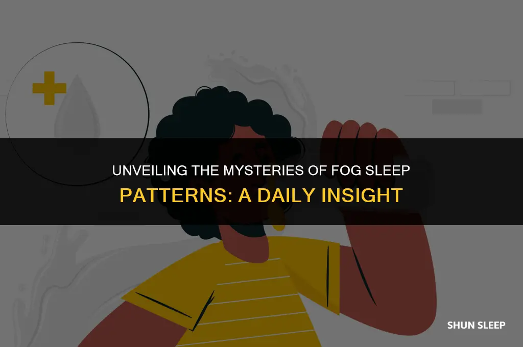 how many hours a day do fogs sleep