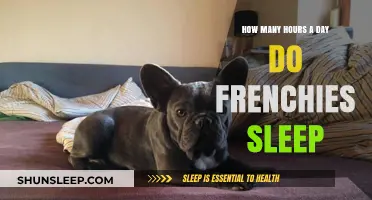 Understanding French Bulldog Sleep Patterns: A Comprehensive Guide