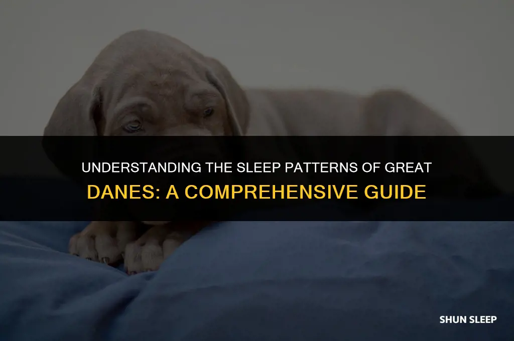how many hours a day do great danes sleep