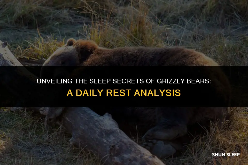 how many hours a day do grizzly bears sleep