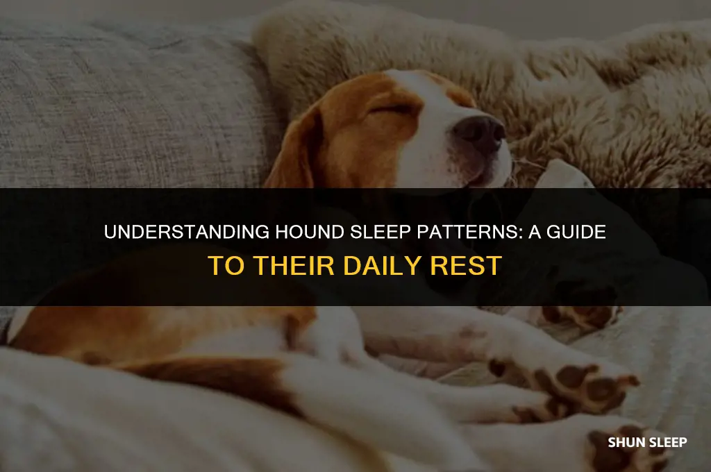how many hours a day do hounds sleep