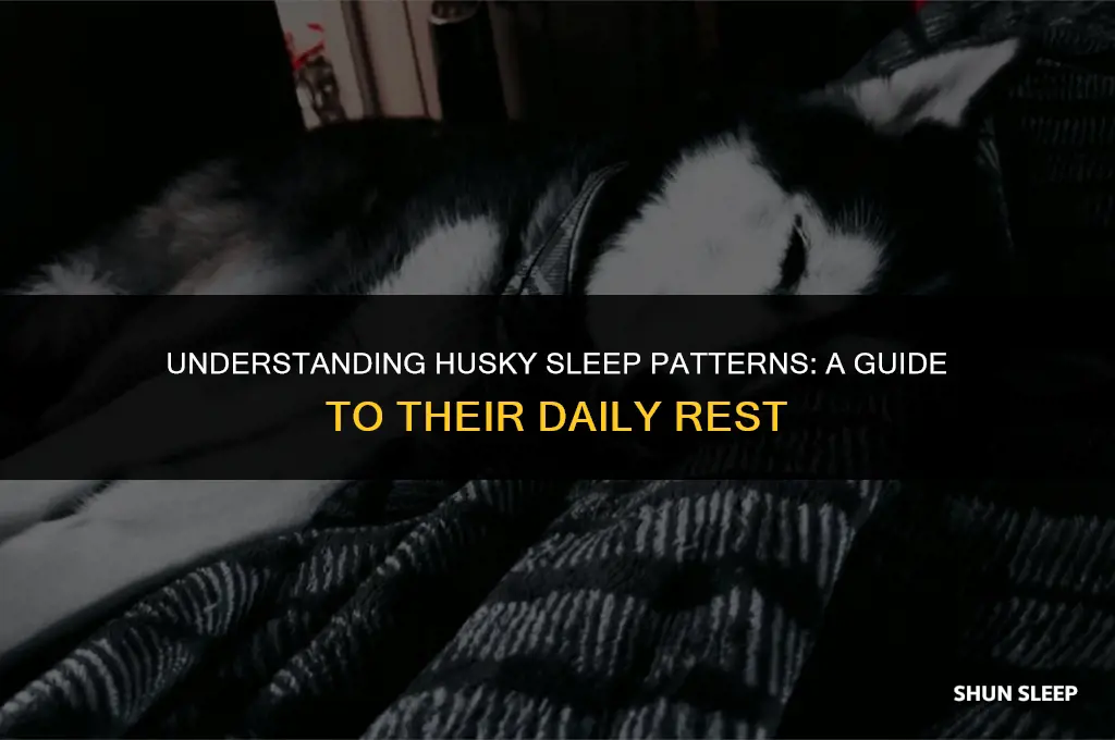 how many hours a day do huskies sleep