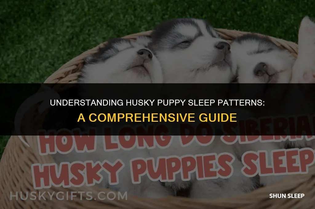 how many hours a day do husky puppies sleep