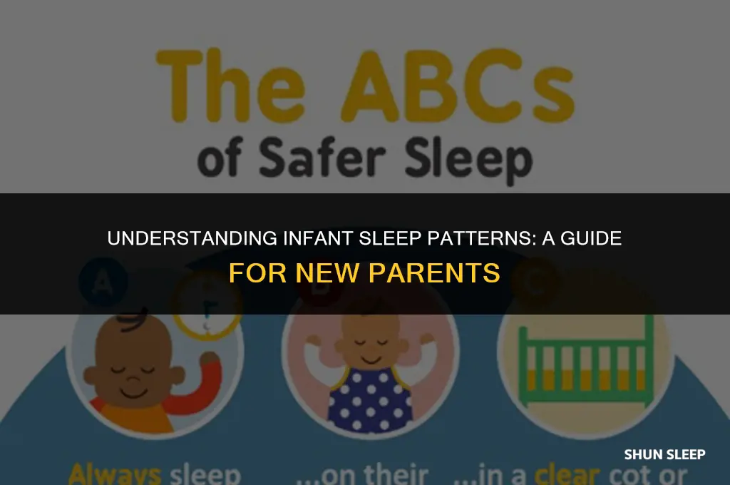 how many hours a day do infants sleep