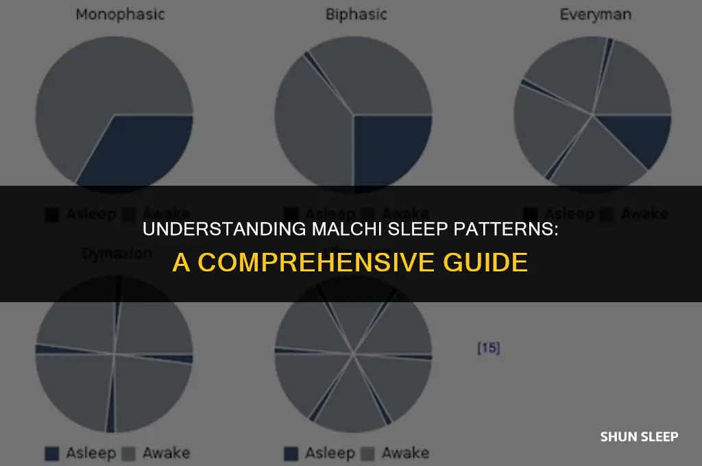 how many hours a day do malchis sleep