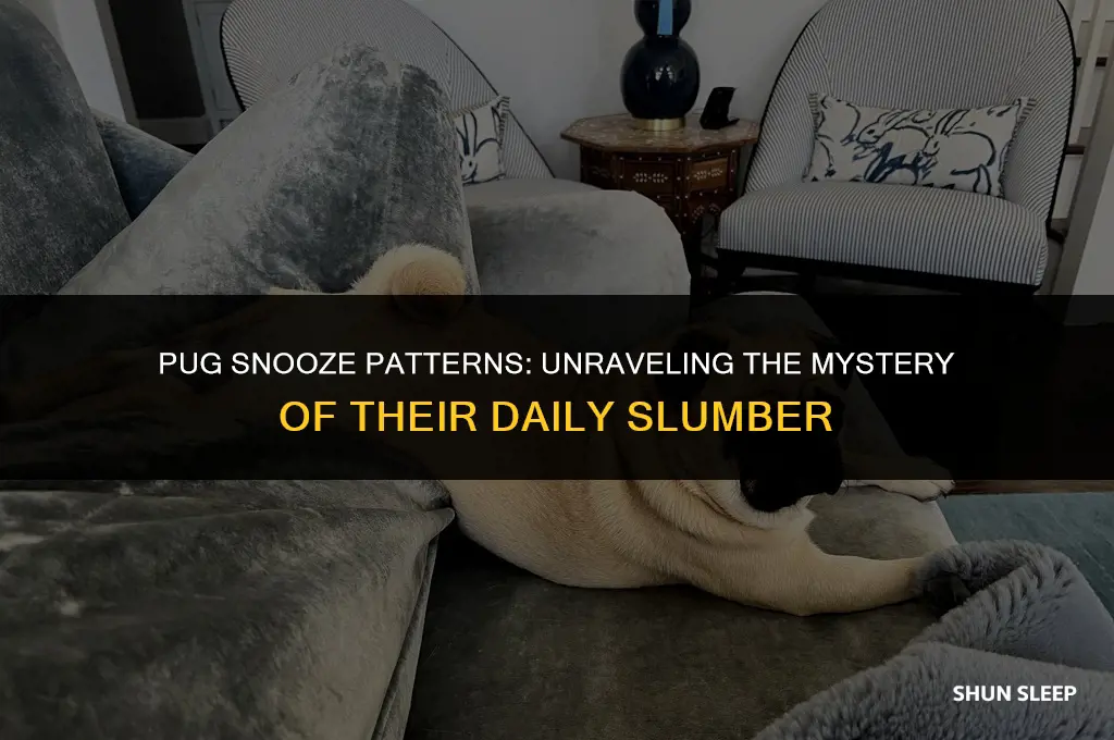 how many hours a day do pugs sleep