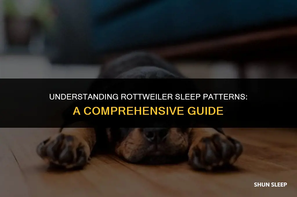 how many hours a day do rottweilers sleep