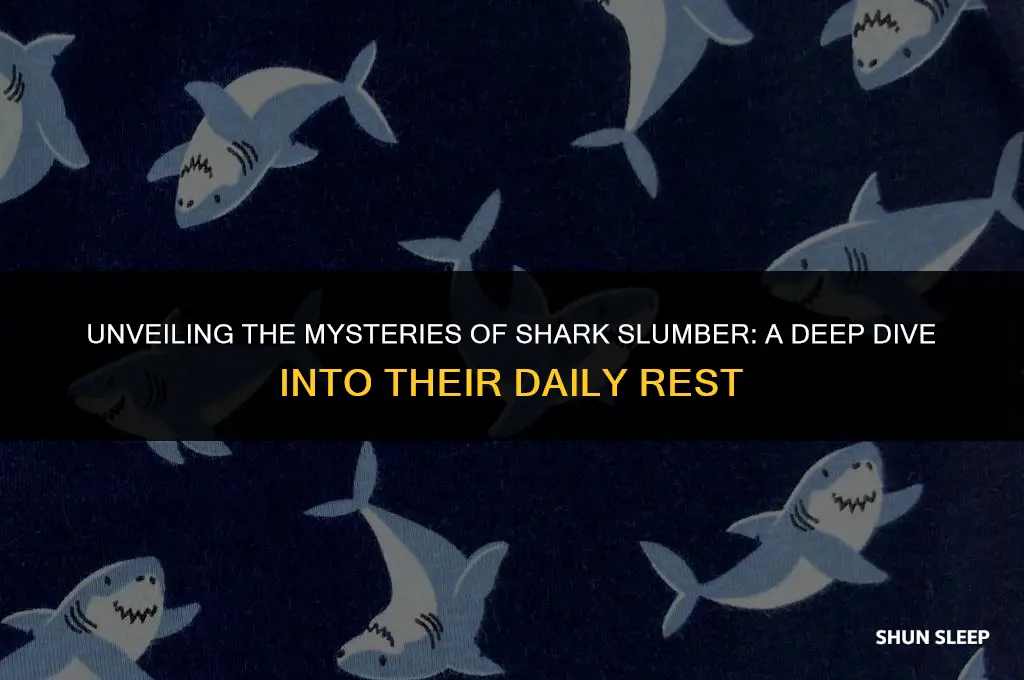 how many hours a day do sharks sleep