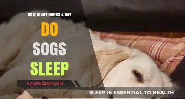 Unveiling Canine Slumber: How Long Do Dogs Really Sleep?