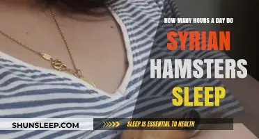 Syrian Hamsters' Sleep Patterns: Unraveling the Mystery of Their Daily Rest