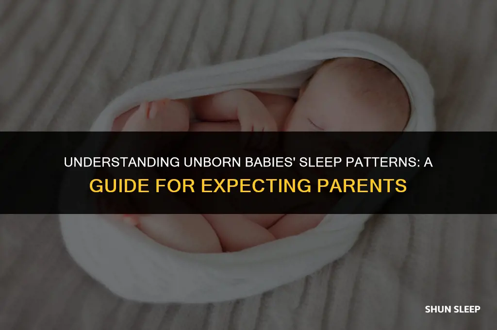 how many hours a day do unborn babies sleep