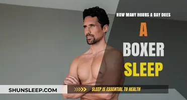 Resting for the Ring: A Boxer's Guide to Optimal Sleep