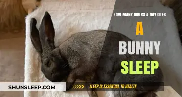 Understanding Bunny Sleep Patterns: A Comprehensive Guide