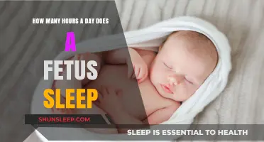 Unveiling the Mysteries of Fetal Sleep Patterns: A Comprehensive Guide