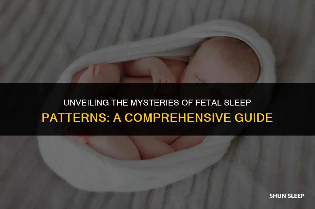 how many hours a day does a fetus sleep