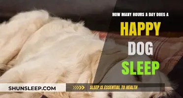 Understanding Canine Sleep Patterns: How Much Rest Does a Happy Dog Need?