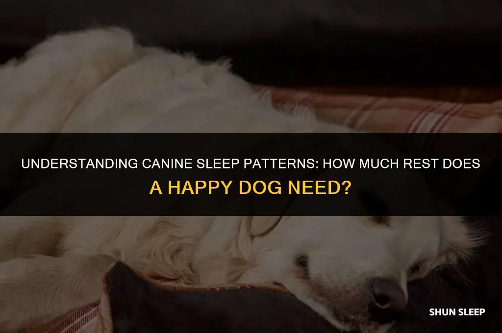 how many hours a day does a happy dog sleep