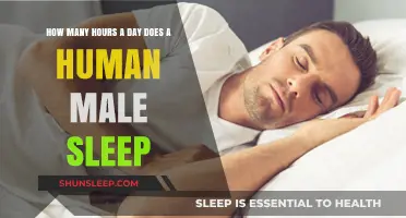 Understanding Male Sleep Patterns: A Guide to Optimal Rest