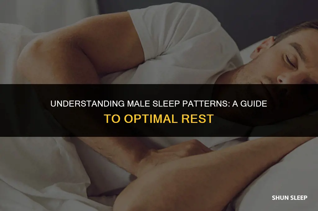 how many hours a day does a human male sleep