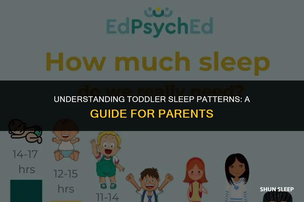 how many hours a day does a two old sleep