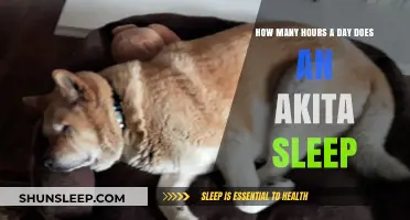 Understanding Akita Sleep Patterns: A Comprehensive Guide