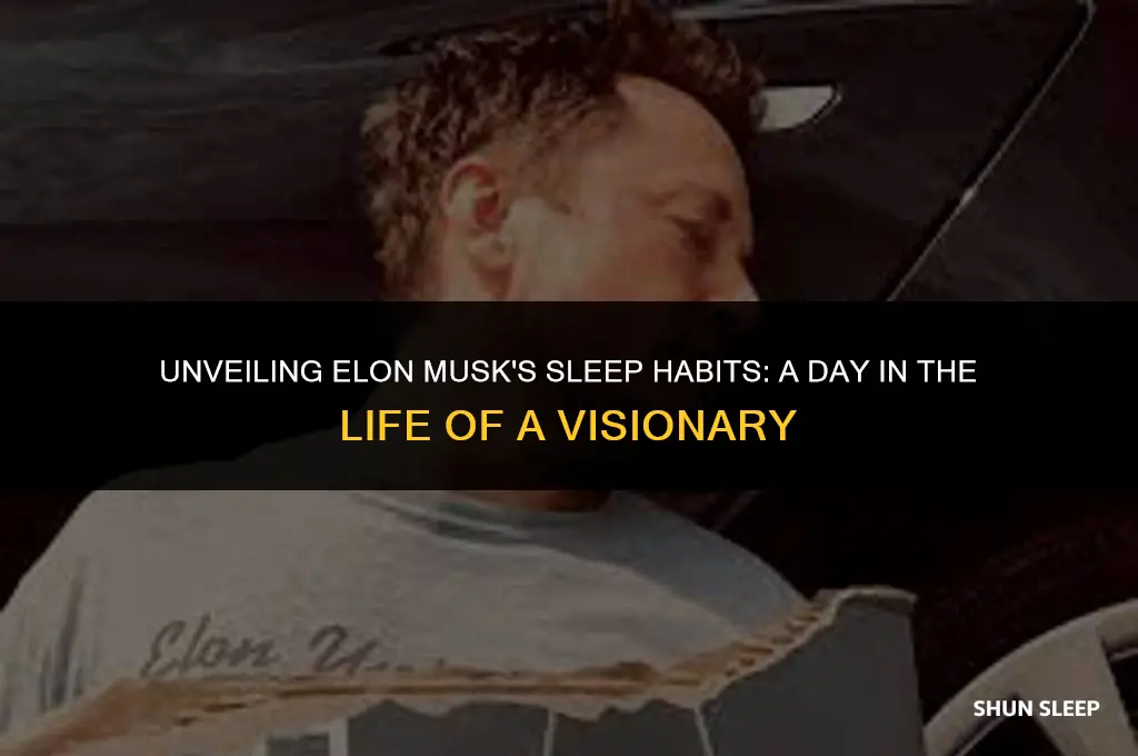 how many hours a day does elon musk sleep