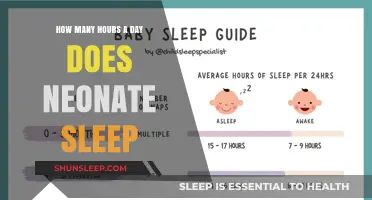 Understanding Neonatal Sleep Patterns: A Guide for New Parents