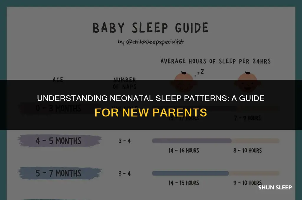 how many hours a day does neonate sleep
