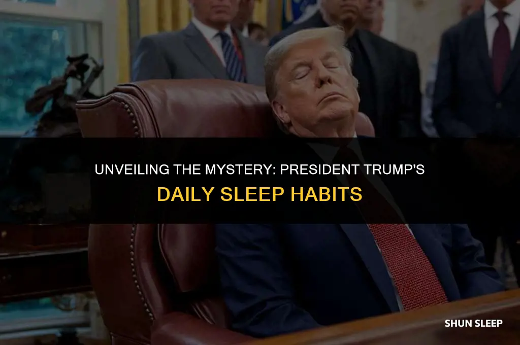 how many hours a day does presedent trump sleep