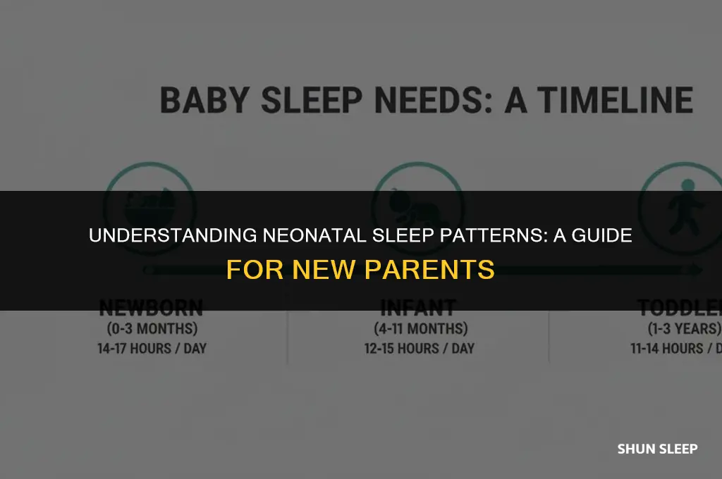 how many hours a day does the average neonate sleep